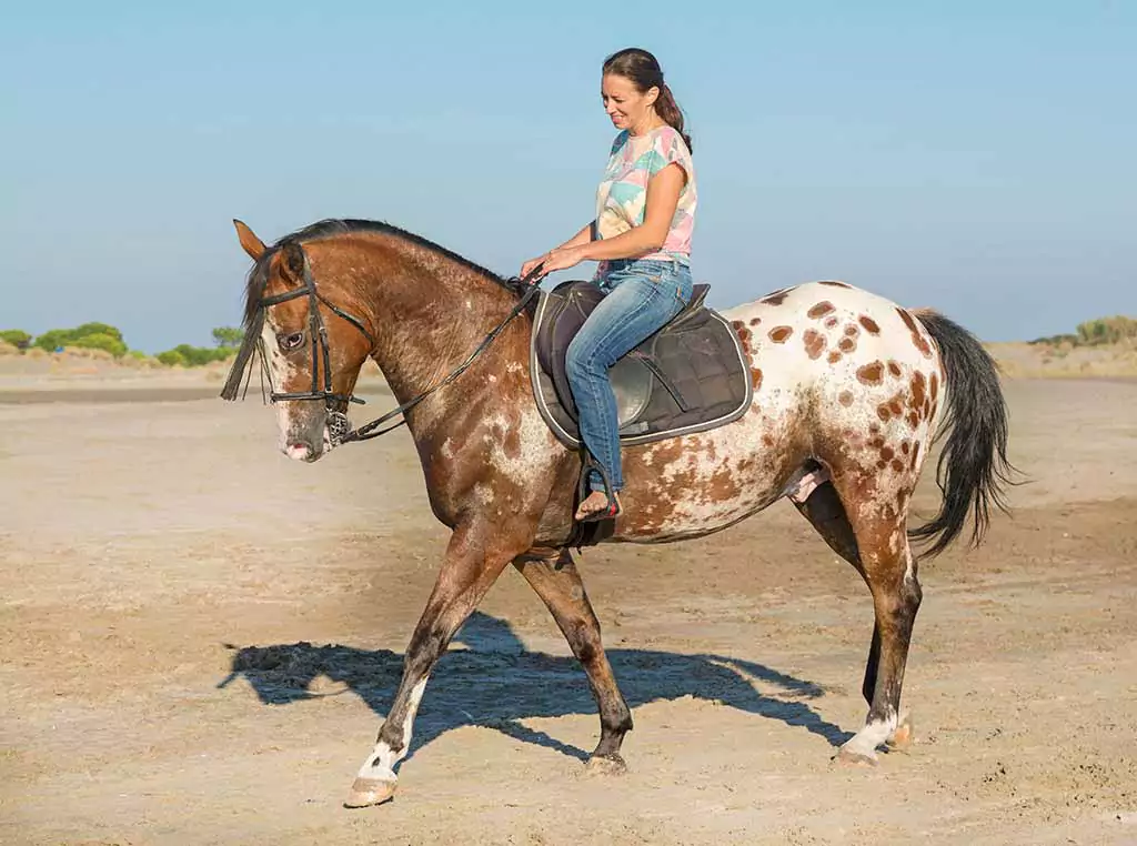 Kvinde rider på Appaloosa hest