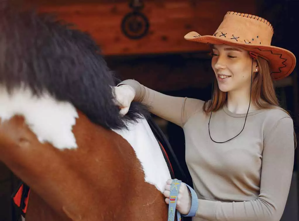 Hest der skal til at klippes