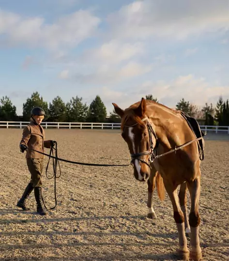 Teknikker til horsemanship