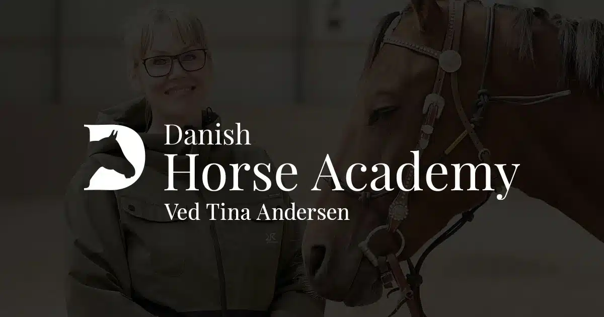 Danish Horse Academy - Hestetræning og rideundervisning