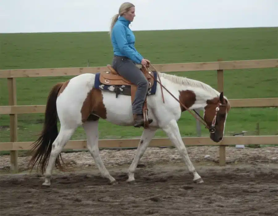 Tina-rider-paa-en-hest Tina rider på en hest på en ridebane