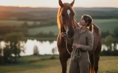 Hvad er horsemanship?