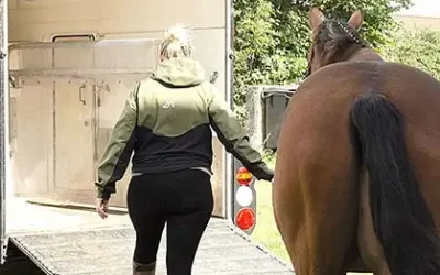 Hvorfor vil min hest ikke i trailer?